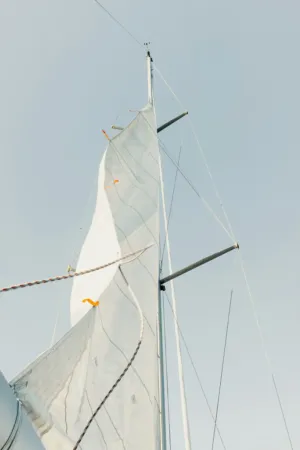 Sailboat Mast And Sail