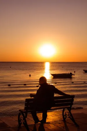 Sunset Silhouette