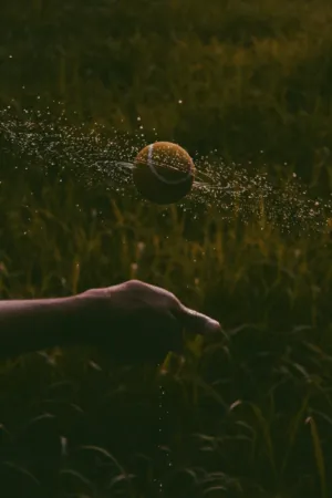 Tennis Ball In Mid-Air