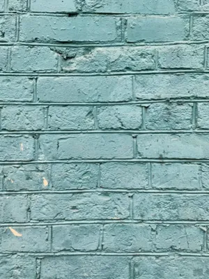 Green Brick Wall