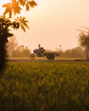 Rural Sunset