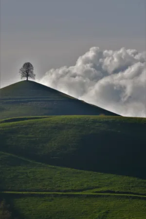 Solitary Tree On A Hill