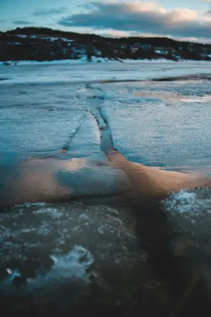 Frozen Landscape