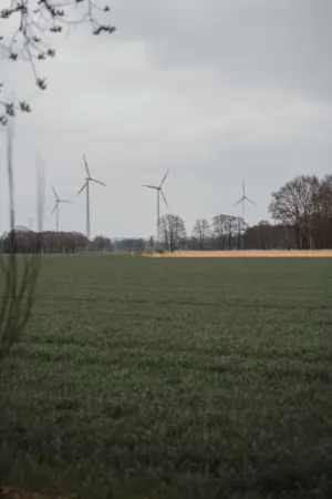 Wind Turbines In A Field