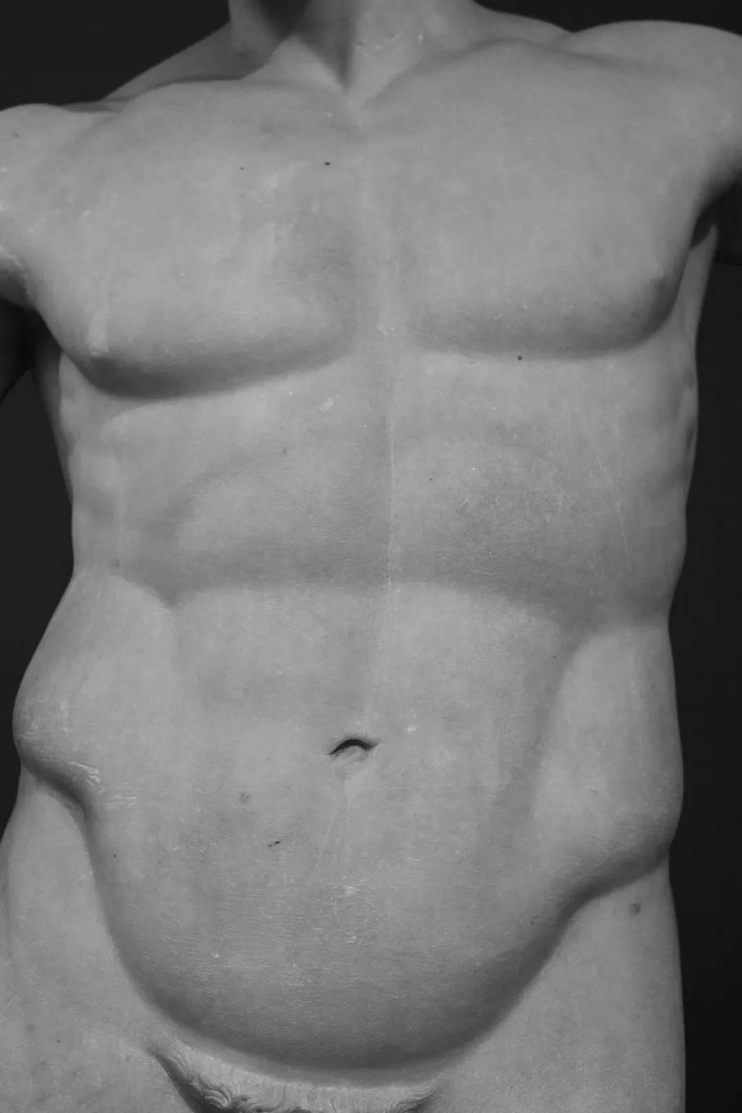 Male Torso Statue