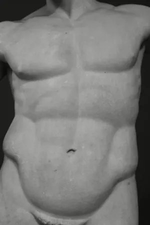 Male Torso Statue