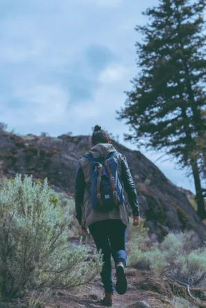 Hiker In Nature