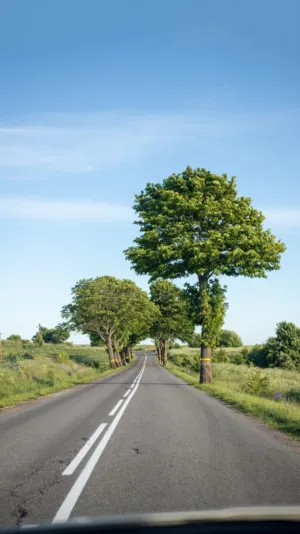 Country Road