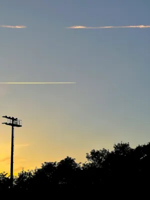 Sunset Silhouette
