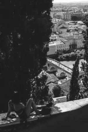 Verona View