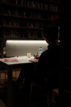 Study Session In A Library