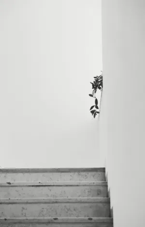 Minimalist Staircase