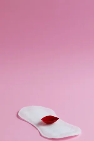 Minimalist Pink Background With Red Petal