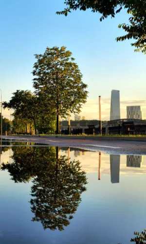 Urban Reflections