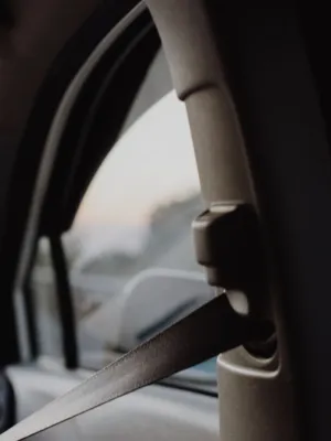 Seat Belt