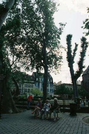 Park Scene