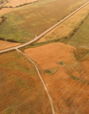 Aerial View Of Fields
