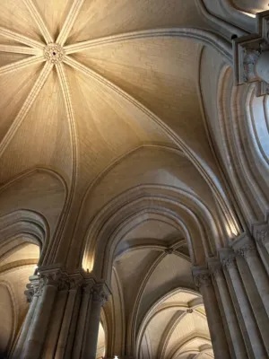 Cathedral Ceiling