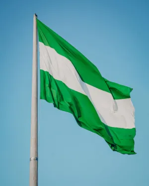 Nigerian Flag
