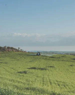 Green Field With Tractor