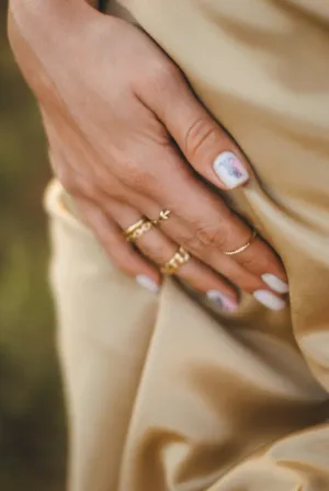 Elegant Hand With Rings